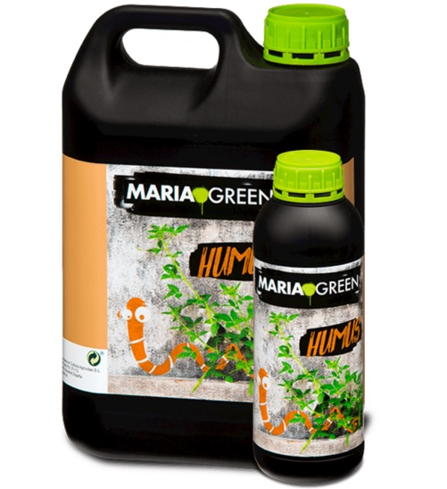 maria green